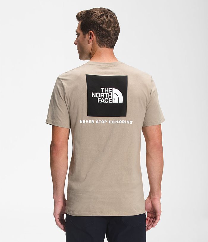 Camiseta The North Face Hombre Manga Corta Box Nse Kaki - Peru 09574CDBK